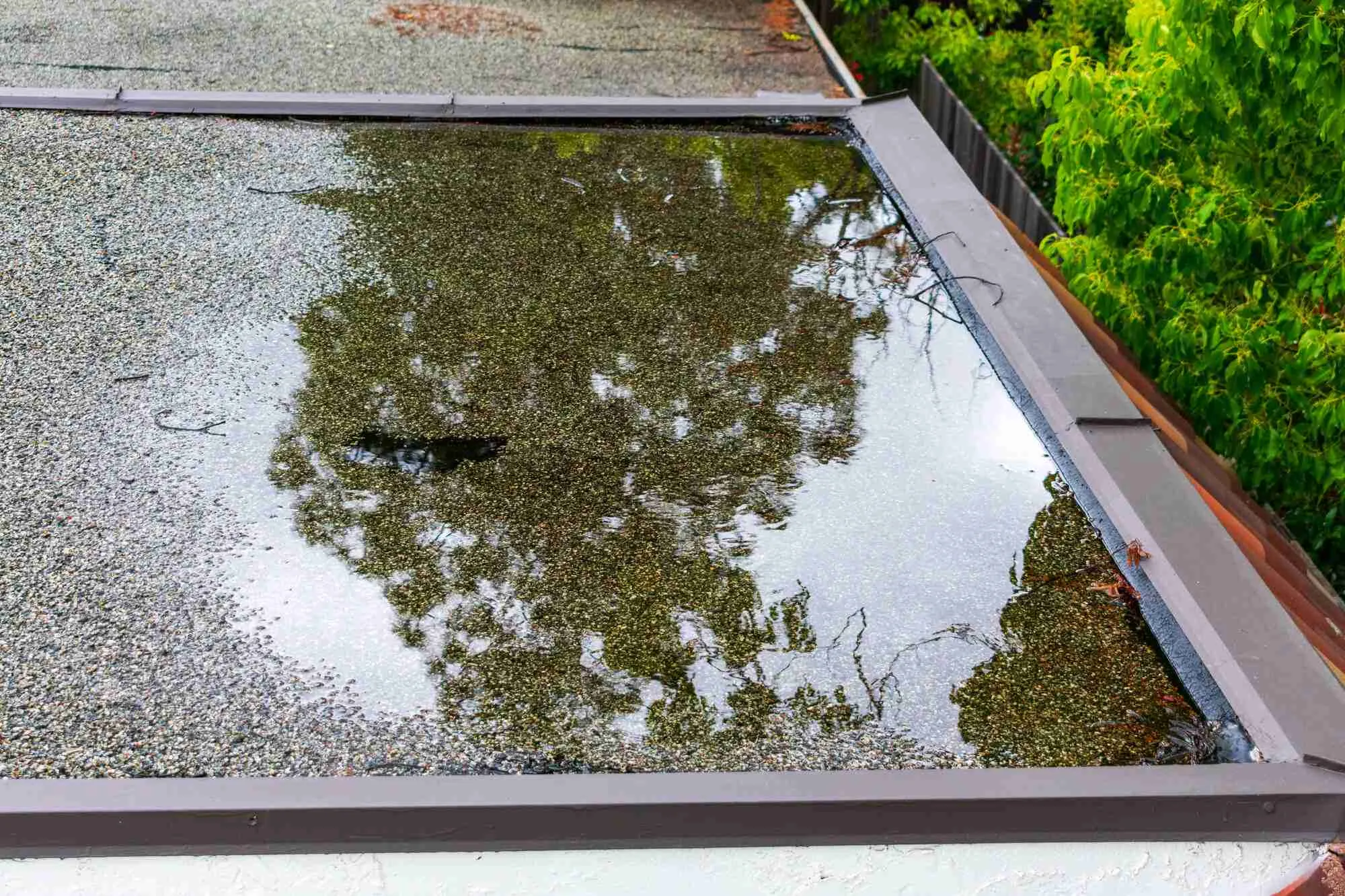 Water Damage Roof Repair